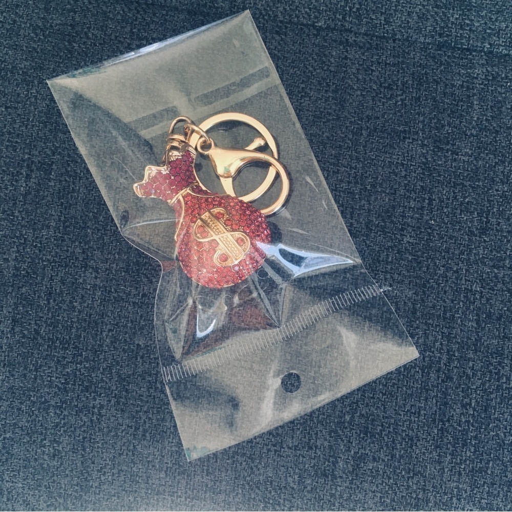 Pink Rhinestone + Gold Money Bag Bling Keychain, Purse Charm - Picture 16 of 17